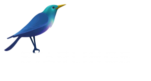 Starlings Entertainment